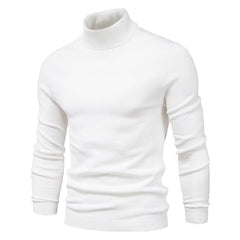 Men's Turtleneck Basic Sweater