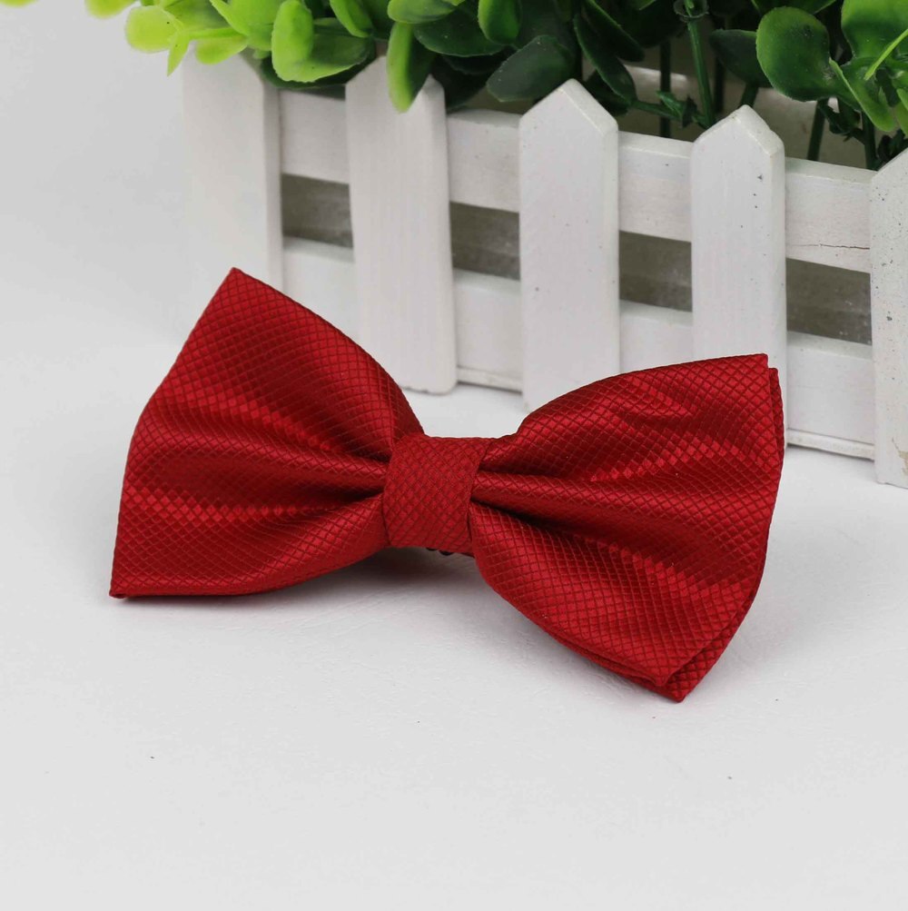 Funny Party Men's Bowties