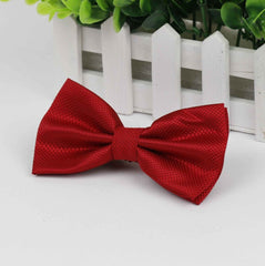 Funny Party Men's Bowties