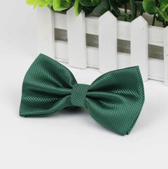 Funny Party Men's Bowties