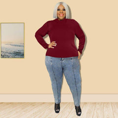 Solid Color Turtleneck Top