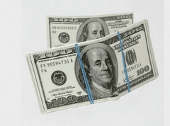 Dollar Printed Wallet for Men
