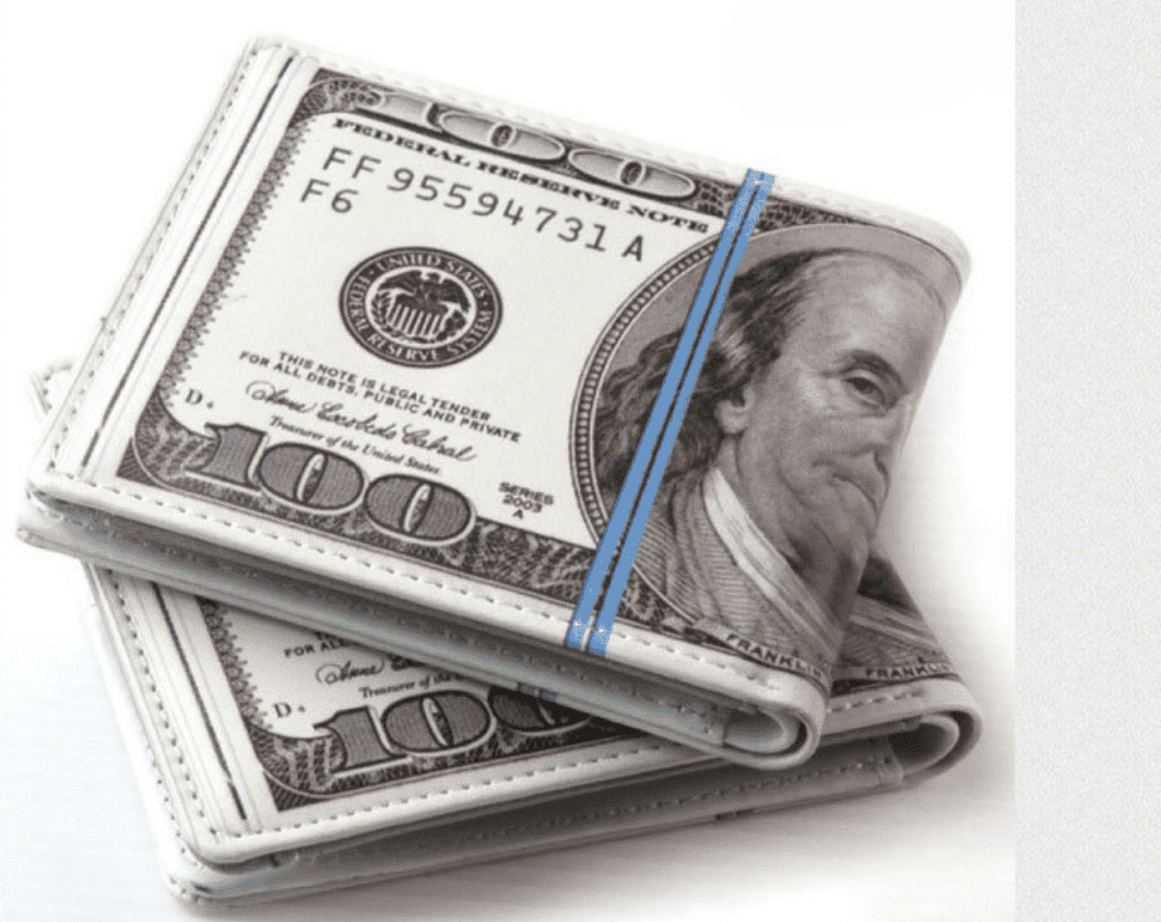 Dollar Printed Wallet for Men